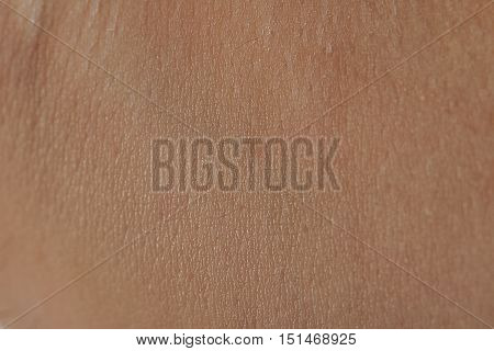 Close Up Of Human Skin Cells