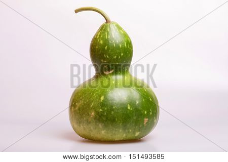 green calabash or Chinese Bottle Gourd is used by many cultures around the world for many different purposes, on a grey background