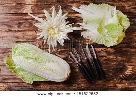 Chinese cabbage The pe-tsai carved, art of thailand