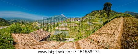 Life In Java Province
