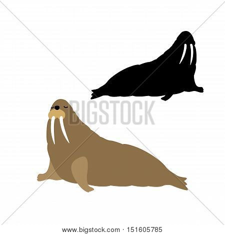 adult walrus vector illustration black silhouette set