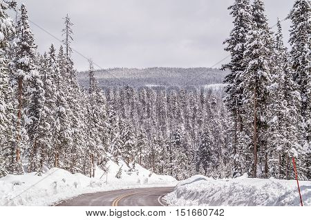 Heading down the mountain on a recently plowed road with a fabulous view on a day in May in Yellowstone National Park