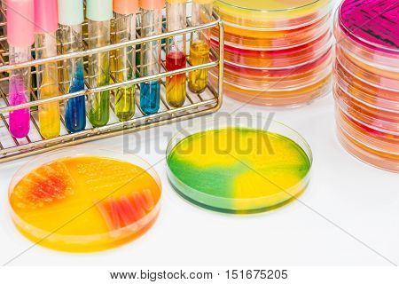 Biochem Tests And Agar Plate In Lab Microbiology.