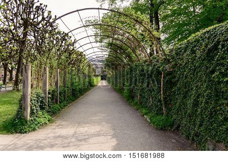 Salzburg Austria - April 29 2015: Pergola in Mirabell Gardens. Salzburg is renowned for its baroque architecture and was the birthplace of Mozart. It is an Unesco World Heritage Site.