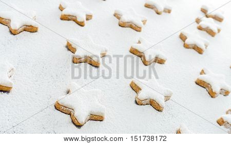 Cinnamon Stars traditional German Christmas cookies on snow white icing sugar. Selective focus on first star.