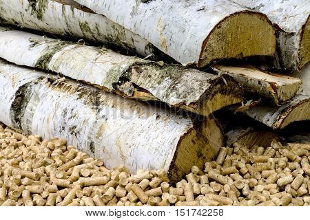 Alternative biofuel from birch sawdust. Wood pellets in the soil. Biofuels. Granules on the background of birch firewood.