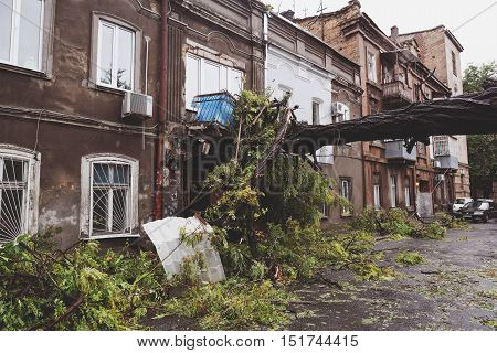 Odessa, Ukraine - October 12, 2016: Hurricane Christie. Heavy Rain And Gale - Force Gusts Of Wind Ca