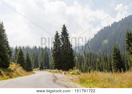 Road In The Mountains