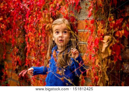 Little Girl On A Beautiful Background Of Autumn Wild Grapes
