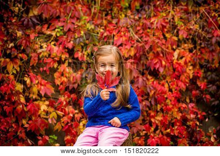 Little Girl On A Beautiful Background Of Autumn Wild Grapes