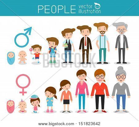 Generation of man and woman from infants to juniors. all age categories. isolated on white background, generation of men and women  from infants to seniors, Stages of development, design illustration.