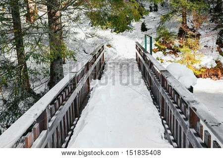Small Bridge With Snow In Vosges Landsape