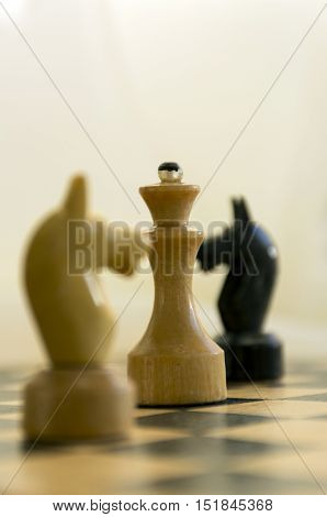 Chess wooden figures Queen horses black and white standing on a chess Board combination Board game