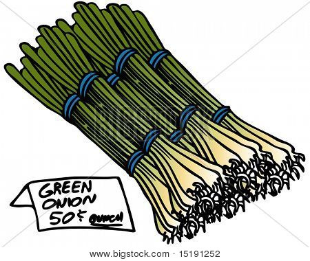 An image of a bunch of green onions.