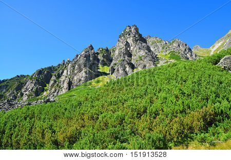 Mountain landscape in Western Carpathians. Mlynicka Valley in Vysoke Tatry (High Tatras), Slovakia