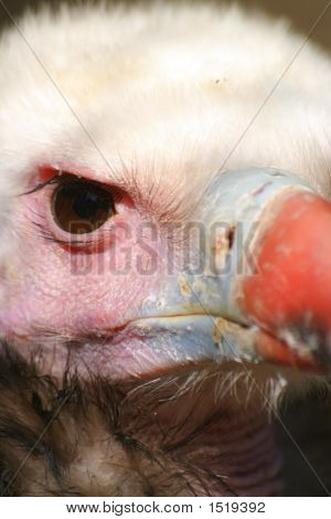 Możesz oglądać
