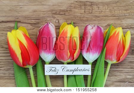 Feliz cumpleanos (which means Happy Birthday in Spanish) card with colorful tulips