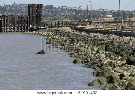 A Pier somewhere in San Francisco overlooking a lake