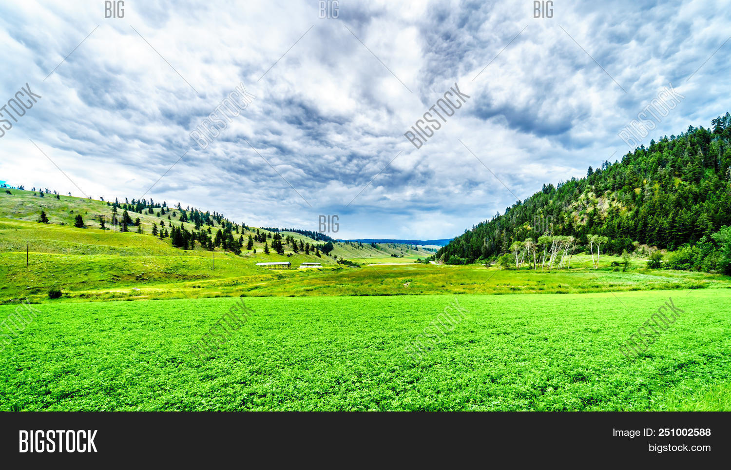 Fertile Farmland Among Image & Photo (Free Trial) Bigstock