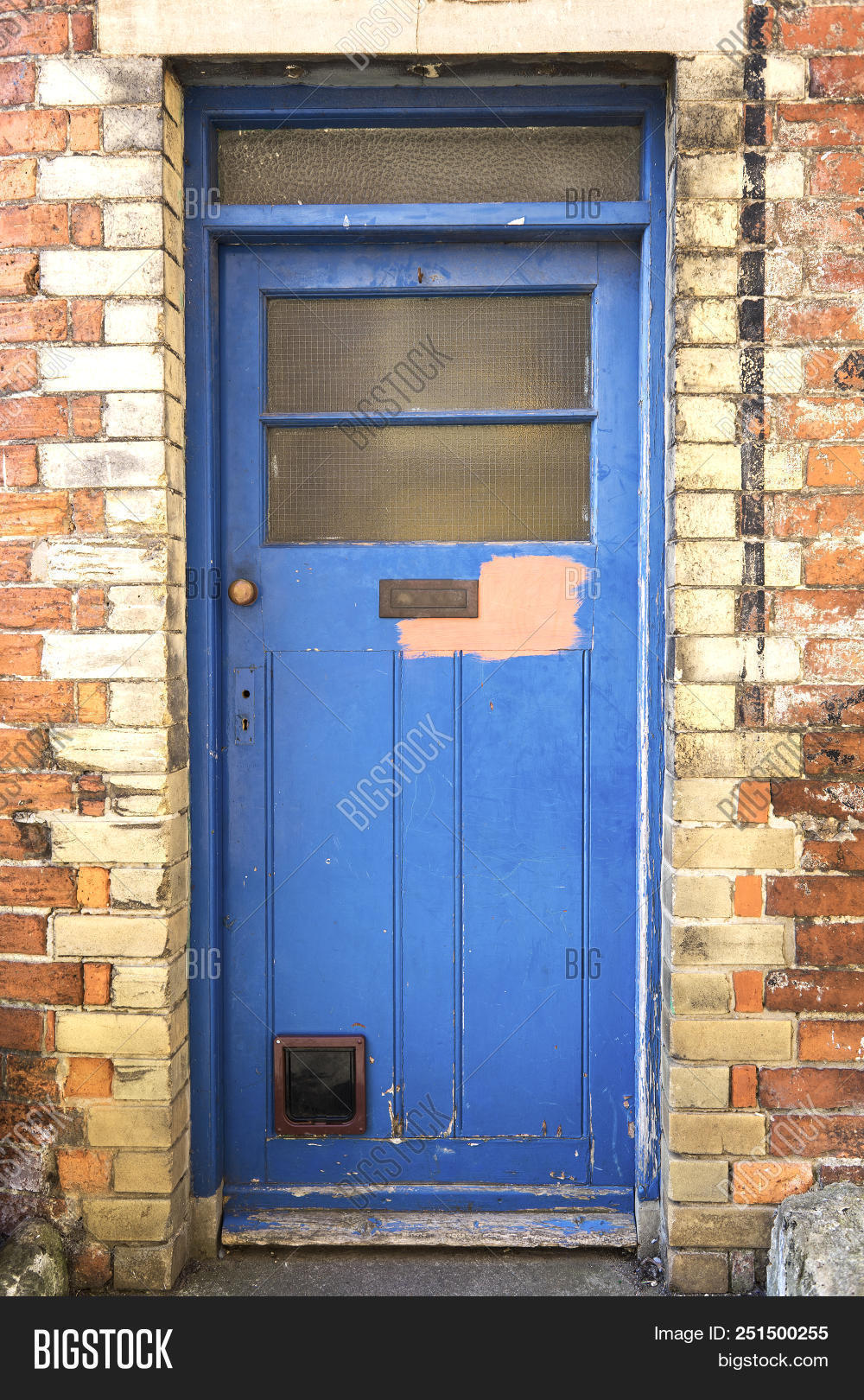 Rustic Door Cats Door Image & Photo (Free Trial) Bigstock