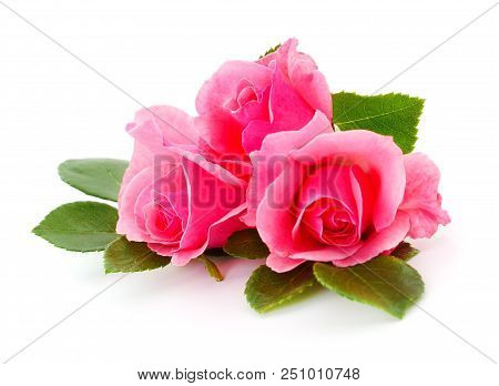 Beautiful Bouquet Of Pink Rose Flowers Isolated On White Background.