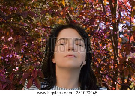 Beautiful Girl With Dark Hair And Different Eye Color Heterochromia . Smiles At The Photos In The Pa