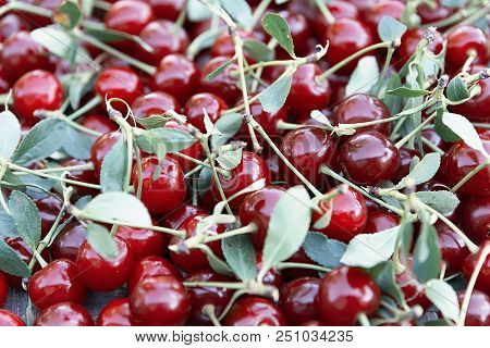 Bright Red Ripe Cherry Texture Food One