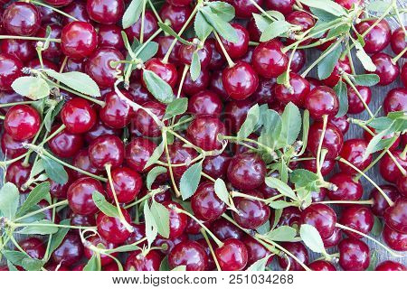 Bright Red Ripe Cherry Texture Food One