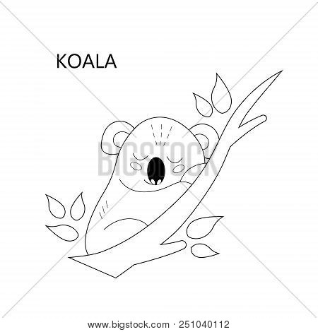 Coloring Book Page For Children. Cartoon Sleeping Koala. Vector Illustration
