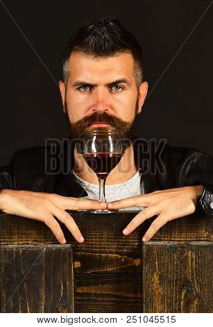 Sommelier Tastes Expensive Drink. Man With Beard Holds Glass Of Wine On Dark Brown Background. Degus
