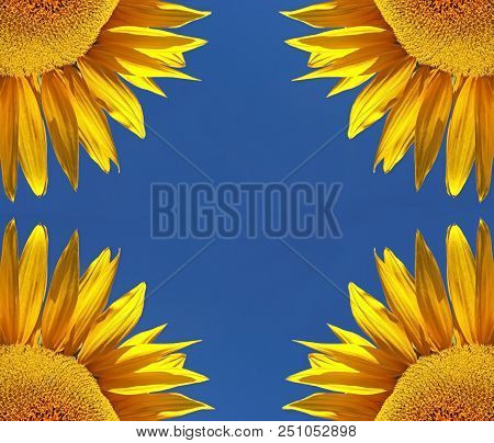 Quarters Of Vier Sunflowers In Front Of Blue Sky, Symmetry