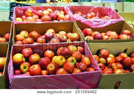 Crop Of Apples. Many Typical Ripe Apples In A Plastic Box. Harvest This Summer.