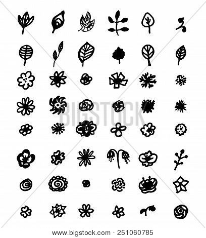 Set Of Doodle Flower And Leaves. Black And White Design Elements