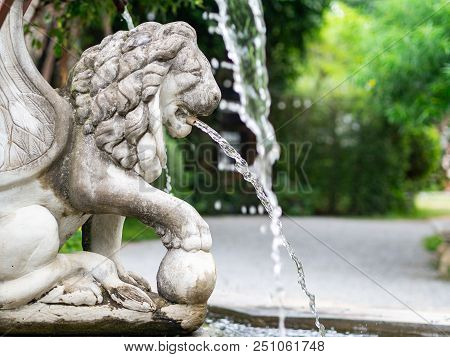 The Lion Fountain In The Garden.beautiful Fountain.