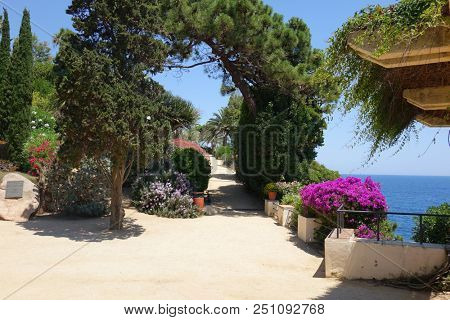              tropical botanical garden, Blanes, Spain                  