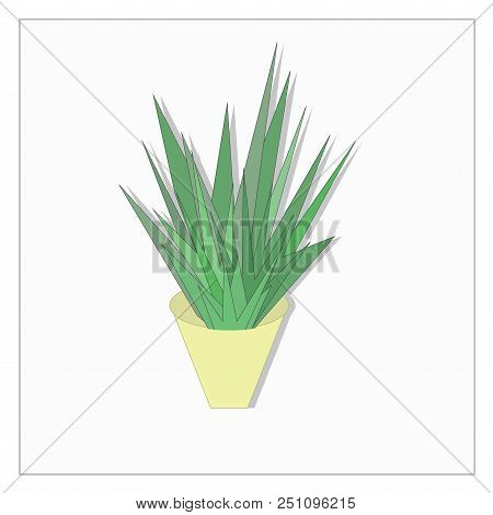Ogawa, Plant Houseplant,  Flowerpot, Leaf, Flower, Green,