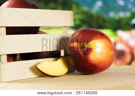 Lot Of Whole One Slice Of Ripe Deep Red Nectarine In A Wooden Crate With Country Nature In Backgroun