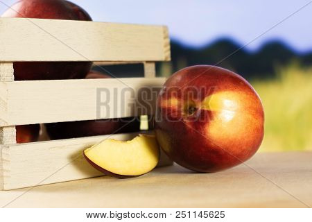 Lot Of Whole One Slice Of Ripe Deep Red Nectarine In Wooden Crate With Green Wheat Field In Backgrou