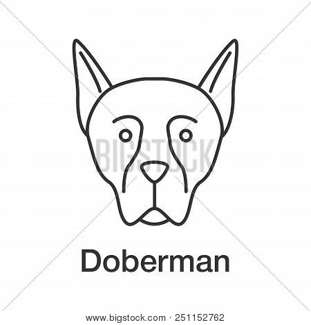 Doberman Pinscher Linear Icon. Thin Line Illustration. Guardian Dog Breed. Contour Symbol. Vector Is