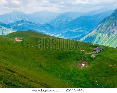 Summer landscape of Switzerland mountain nature at Rochers-de-Naye