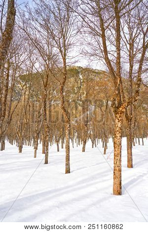 Panticosa snow ice in Huesca Pyrenees of Spain