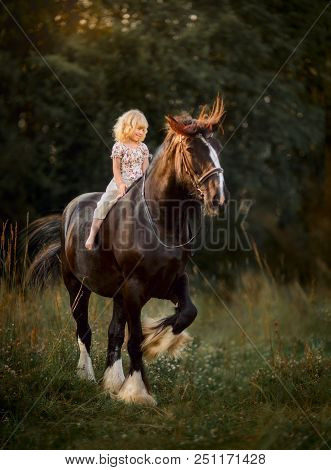 Little Girl With Shire Horse At Summer Evening Day