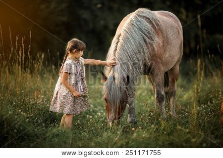 Little Girl With Horse At Summer Evening Day