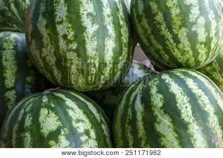 Market Counter With Delisios Watermelons.
