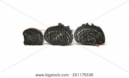 Daldinia Concentrica Known As King Alfred`s Cake, Cramp Balls And Coal Fungus