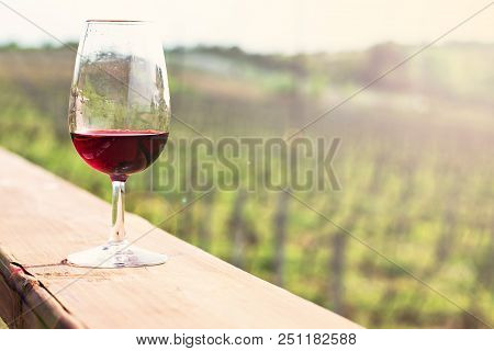 Glasses With Wine Red. Tasting Wine In The Vineyard.