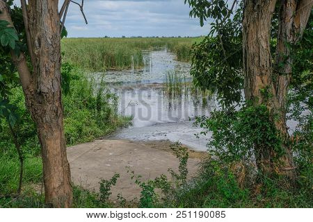 Wetlands In Mountain Khao Samroiyod National Park, Prachubkirikhun Thailand