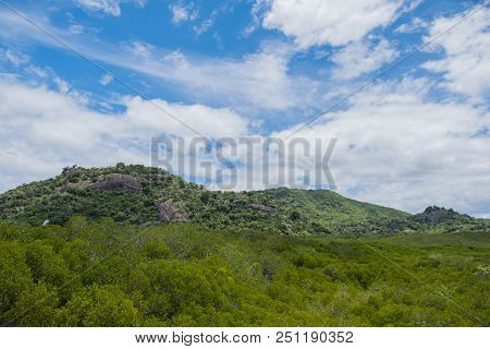 Mountain In Mangrove Forest At Pranburi Forest National Park, Prachuap Khiri Khan, Thailand