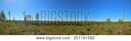 Panoramic View From Granberget In Vasterbotten In Sweden