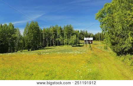 Remote Wood House On A Meadow In Northern Sweden.